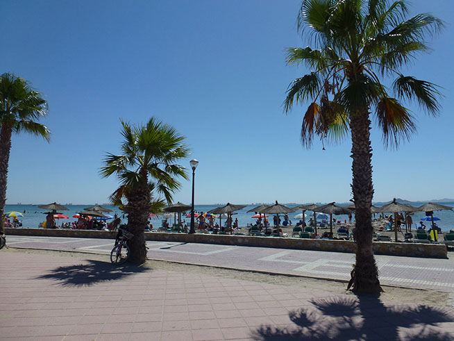 Los Narejos beach